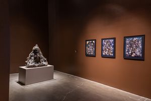 Exhibition view: Wangechi Mutu, _Intertwined_, New Museum, New York (2 March–4 June 2023). Courtesy Ocula. Photo: Charles Roussel.